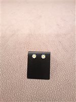 Orecchini Venerio Donna in Argento 0076F00